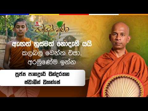 දවසකට භාවනාව වැඩිය යුතු කාලයක් වෙලාවක් තියෙනවා Panadure Chandarathana Thero #pansilmaluwa #sirasafm