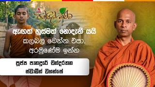 දවසකට භාවනාව වැඩිය යුතු කාලයක් වෙලාවක් තියෙනවා Panadure Chandarathana Thero