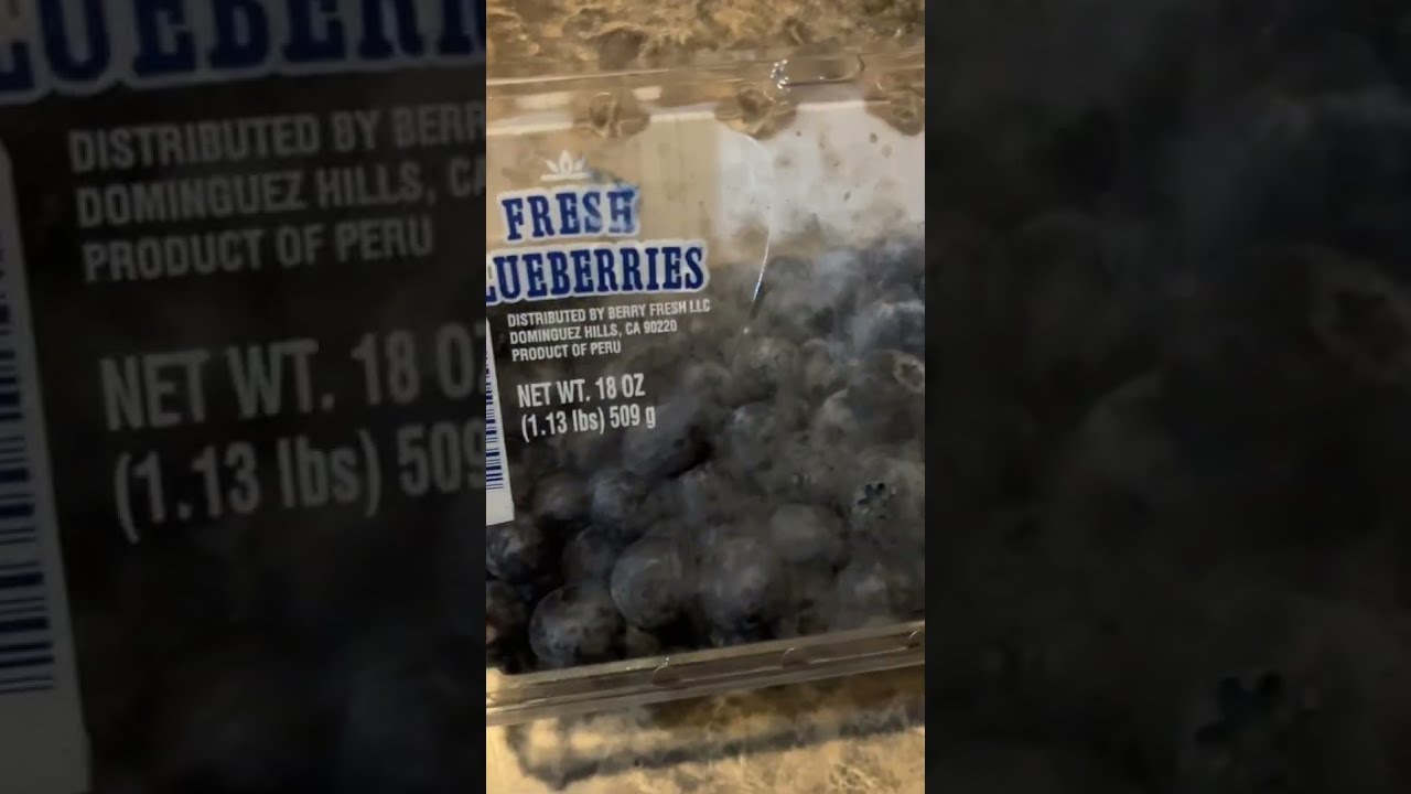 Blueberries From Peru 🇵🇪