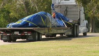 Researchers to examine rare whale found dead at Everglades National Park