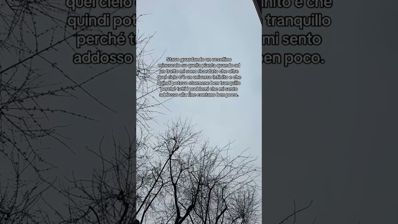 Ogni problema svanisce