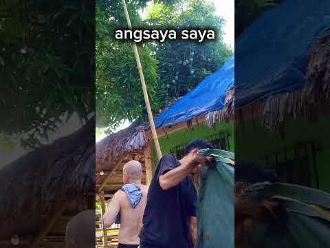 Masayang Lakwatsa sa San Esteban Nabua Cam Sur #mango #manga