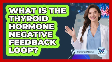 What Is The Thyroid Hormone Negative Feedback Loop? - Thyroid Wellness Hub