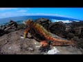 Exploring The Galapagos in 4k