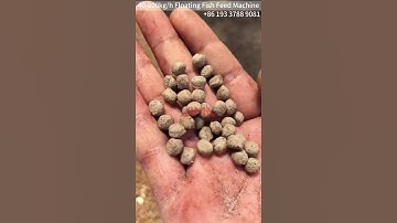 40-800kg/h floating fish feed machine for fish farmers use