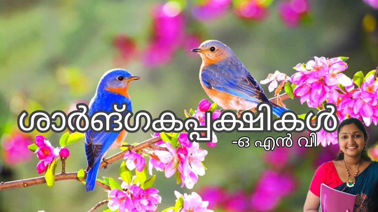 ശാർങ്ഗകപ്പക്ഷികൾ -ഒ എൻ വി #Sree Narayana Guru open university #BA Malayalam