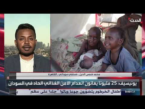 حصار الفاشر بالسودان: تدهور إنساني وجهود إغاثية محدودة