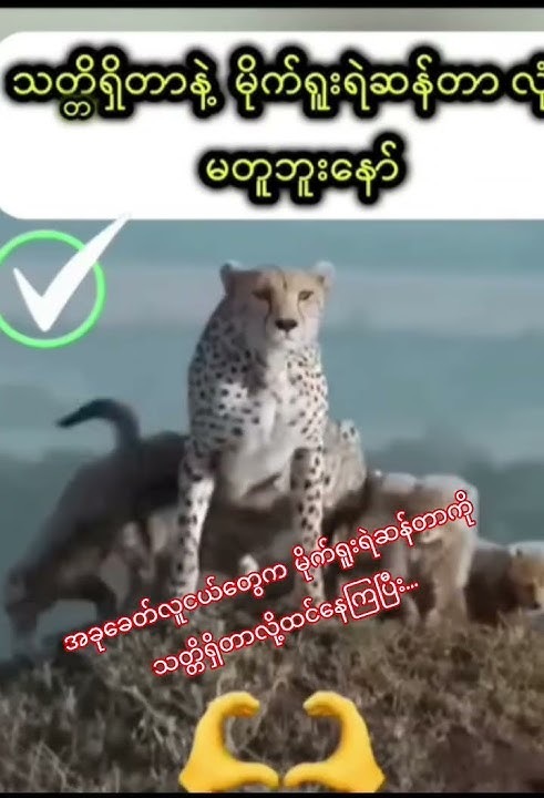 လူငယ်တွေသတ္တိရှိတာနဲ့ မိုက်ရူးရဲဆန်တာမတူးနော်....🗣