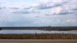 SynCrude 1