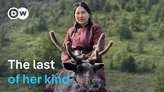 Accompanying a nomad doctor in Mongolia | DW Documentary