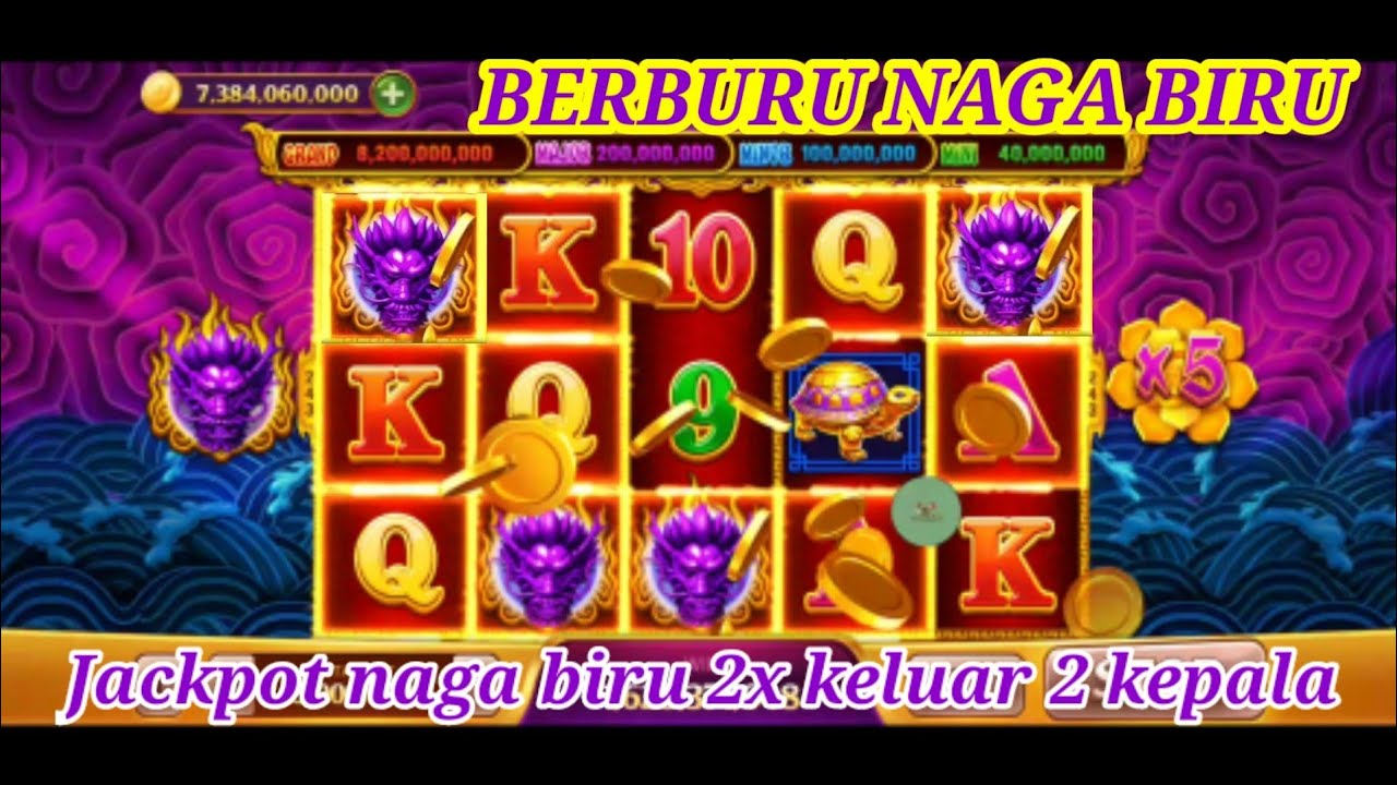 Info room 5 dragon terbaru l Jackpot 5 dragon naga biru l 5 dragon hari