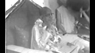 He has Taken Up some False Duty and Working Hard for it, therefore He is an Ass - Prabhupada 1047 Resimi