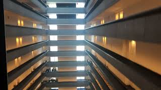 INCREDIBLE Scenic Otis Traction Elevator @ Marriott Marquis, Atlanta GA