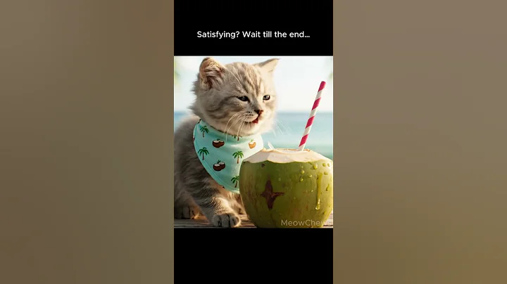 Video 10093481: scottish fold british shorthair, scottish fold baby kittens, kitten drinking water