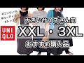 【ユニクロ】ぽっちゃりさん向け！ユニクロ大きいサイズのおすすめ紹介します【３XL・XXL】ぽっちゃりコーデ・UNIQLO・しまむら