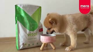Vet Diet Dog Food from Germany | MERA Vital Insect Protein Benefits