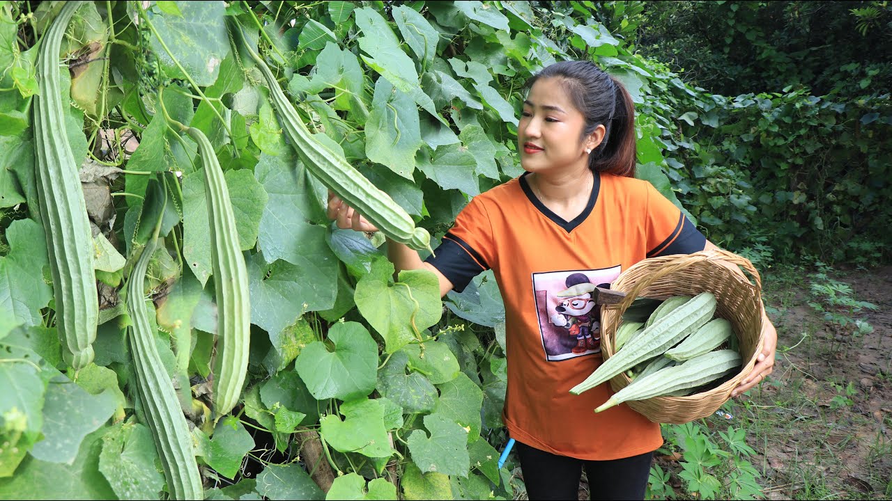 Sponge gourd with field crab soup cooking / Harvest sponge gourd for
