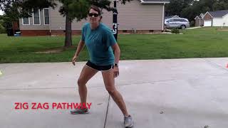 Locomotor Pathways, Directions, and Levels