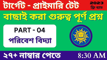 Crack Primary TET EVS with Mock Test Practice