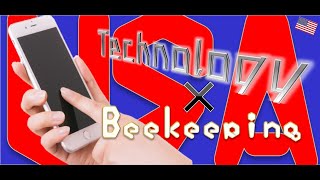 How to detect abnormalities in honeybees / Information Technology for beekeeping