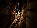 Angel Insect Micro-Cam: Inside the Hidden Bark Ecosystem