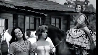 Flor Silvestre, Irma Dorantes y Olivia Michel - Los laureles (1959) chords