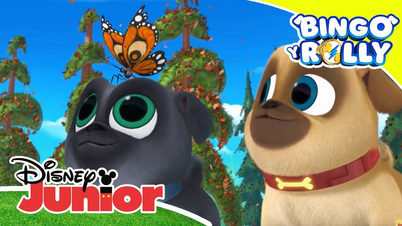 Bingo y Rolly: Momentos Mágicos - ¡Lleva a casa a la mariposa! | Disney ...