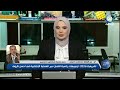 تشريعيات 2026 توجيهات رئاسية لضمان سير العملية الانتخابية في احسن الظروف 