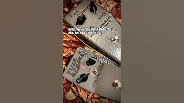 behringer FUZZ BENDER vs BPC Tone Bender