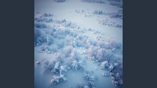 Frozen Pines And Silent Prayers