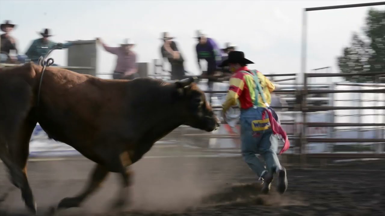 Bull fighting June 7 2018