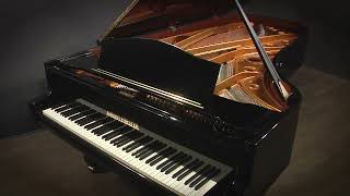 August Forster 9' Concert Grand Piano (#150405)