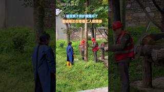 10.25下午福宝院子一棵树的保护膜爆开了,潘姥姥正在看着工人做维修#大熊猫#大熊猫福宝#panda#Fu Bao#판다#푸바오#大熊貓#大熊貓福寶#福寶#fubao