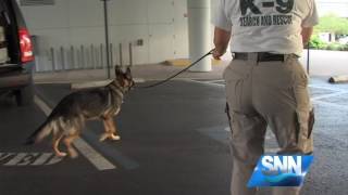 SNN: Sarasota K-9 Search and Rescue Conducts Downtown Exercises