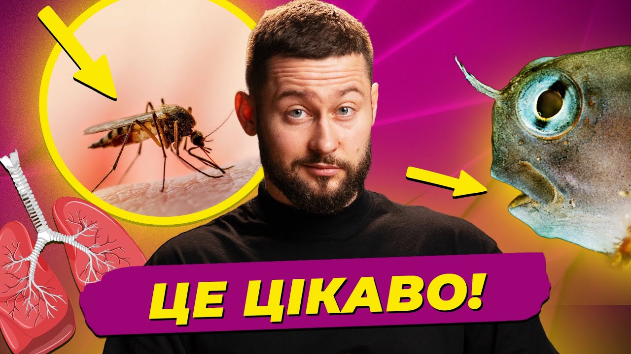 Міф про укуси комарів, заразність позіхання (навіть у риб), пересадка легень