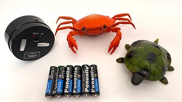 Unboxing RC Mouse｜Crab｜Turtle Toy,RCpolice Car,Unboxing Toy RC Car,Satisfactory unboxing video