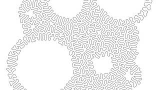 Circle study - differential growth (2D)