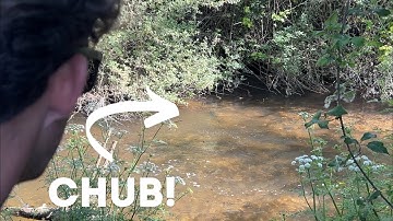 Close Season Fish Sighting - Spot 1