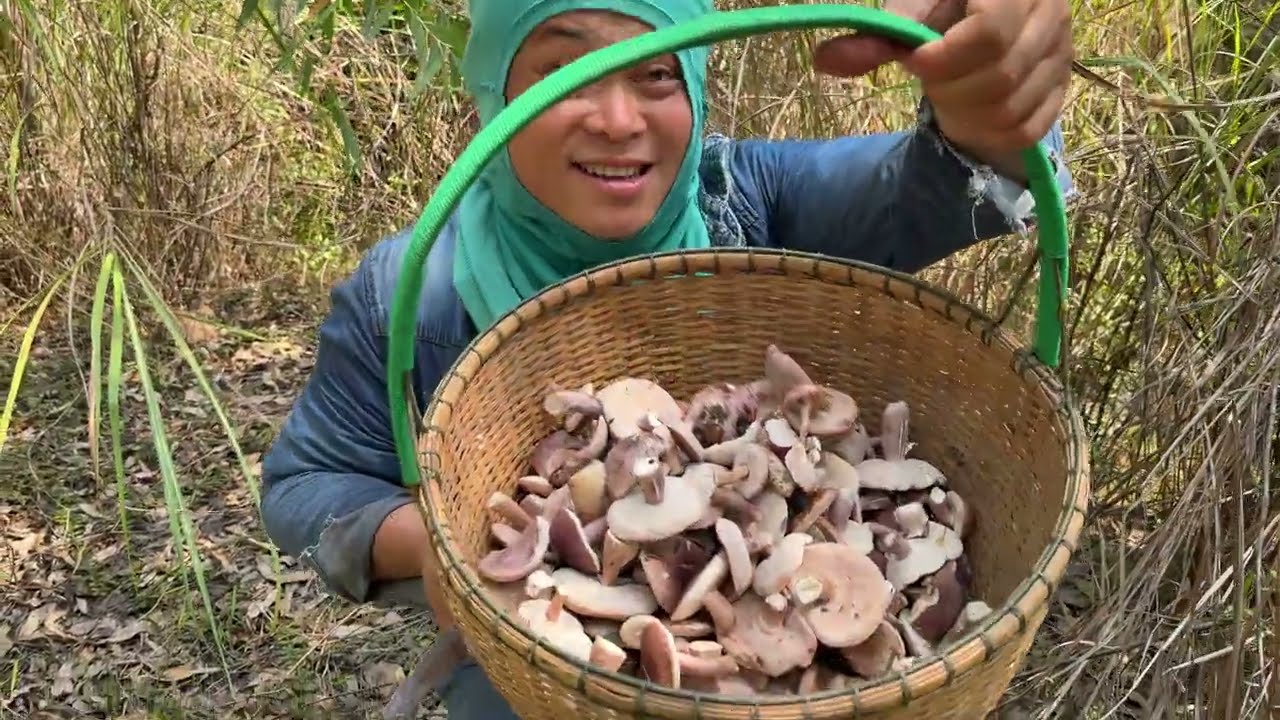 เต็มแล้วเต็มอีกเห็ดป่านี้ ไม่คิดว่าจะได้เจอแบบนี้ ขนาดแล้งๆเห็ดก็ออกเยอะสุดๆ