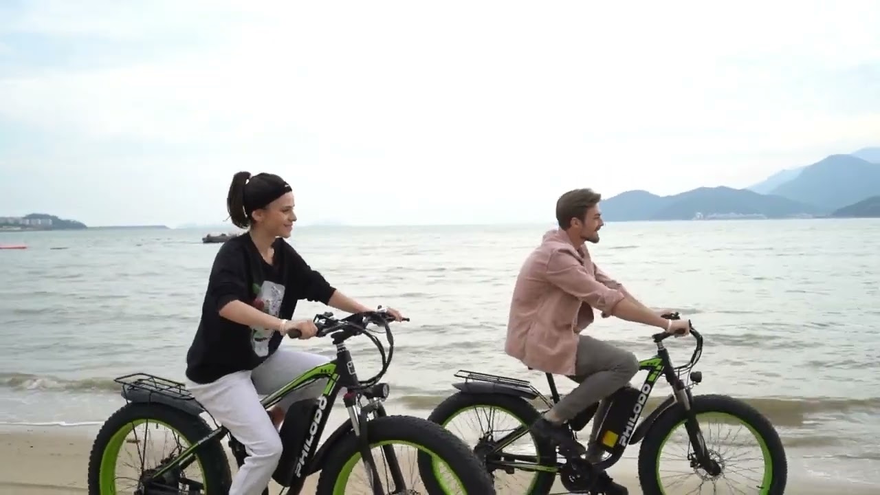 PHILODO 26インチ電動自転車 電動アシスト自転車 電動バイク 