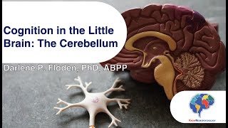 Cognition in the Little Brain: The Cerebellum