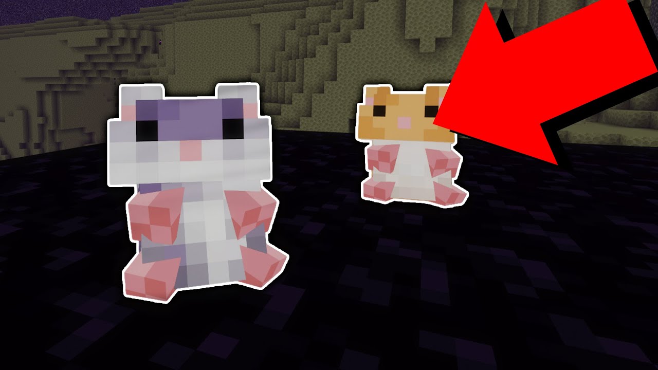 햄스터로 엔더드래곤 잡기