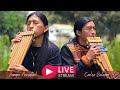 Jorge and Carlos Salazar - LIVESTREAM | Relaxing and happy music | Native Salazar Brothers | Flute
