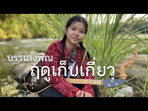 ฤดูเก็บเกี่ยว (พิณอีสานเวอร์ชั่น) กิ๊ฟน้อย พนมไพร【Isan Lam Ploen】