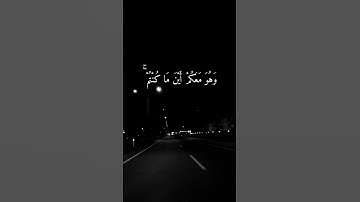 حالات واتس اب بصوت شريف مصطفى / تلاوة خاشعة / راحة نفسية ( وَهُوَ مَعَكُمْ أَيْنَ مَا كُنْتُمْ ۚ )