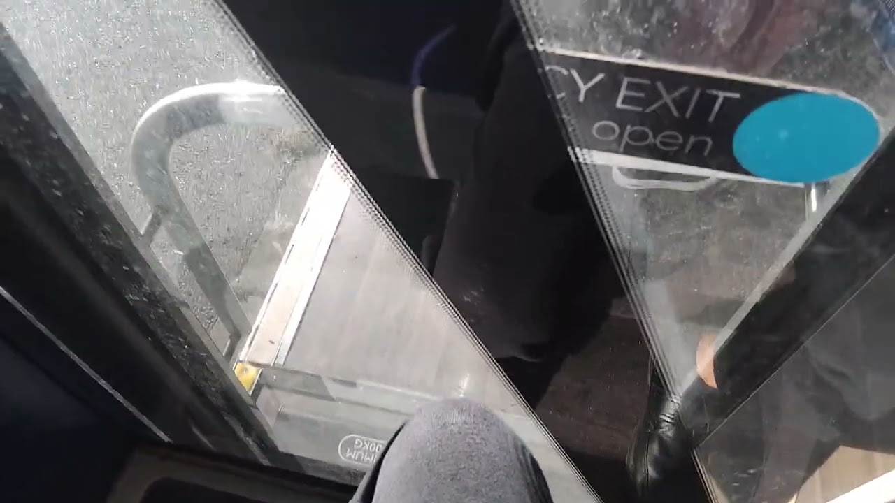 Bluestar 1243 HF68 DXL