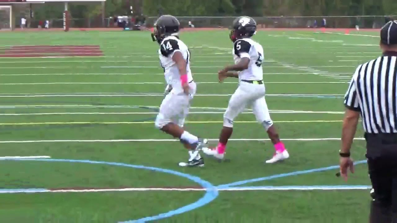 Central pa cougars