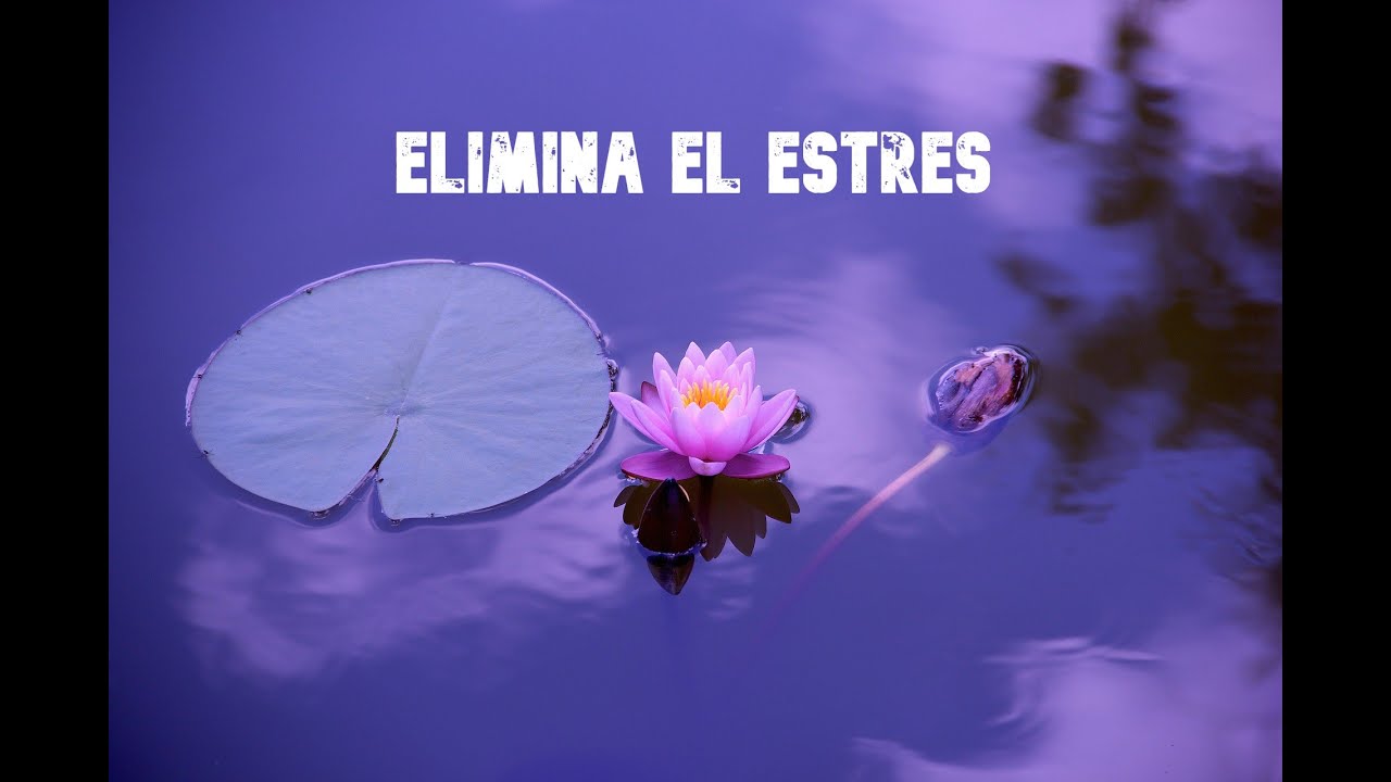 ELIMINA EL ESTRÉS EN 5 MINUTOS - YouTube