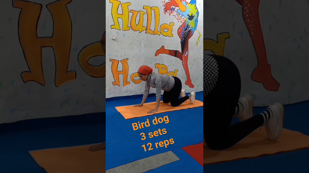 تمرين لعضلات اسفل الظهر يزيل الضغط عن فقرات القطنيه bird dog exercise #backexercise #coreworkout