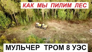 Что остается в лесу после прохода Мульчера ТРОМ 8 УЭС